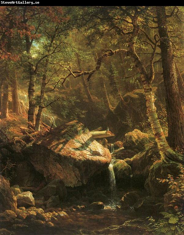 Bierstadt, Albert The Mountain Brook